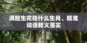 满脸生花指什么生肖、精准词语释义落实