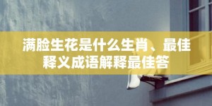 满脸生花是什么生肖、最佳释义成语解释最佳答