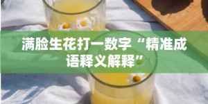 满脸生花打一数字“精准成语释义解释”