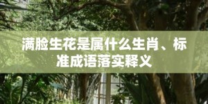 满脸生花是属什么生肖、标准成语落实释义