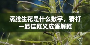 满脸生花是什么数字，猜打一最佳释义成语解释