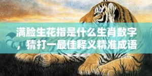 满脸生花指是什么生肖数字，猜打一最佳释义精准成语解释