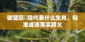 破璧毁珪指代表什么生肖、标准成语落实释义