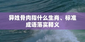 异姓骨肉指什么生肖、标准成语落实释义