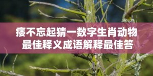 痿不忘起猜一数字生肖动物 最佳释义成语解释最佳答