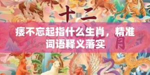 痿不忘起指什么生肖，精准词语释义落实