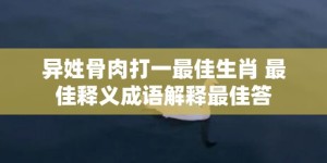 异姓骨肉打一最佳生肖 最佳释义成语解释最佳答