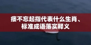 痿不忘起指代表什么生肖、标准成语落实释义