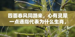 四面春风同路来，心有灵犀一点通指代表为什么生肖，猜一最佳释义成语解释答案