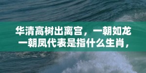 华清高树出离宫，一朝如龙一朝凤代表是指什么生肖，精准词语释义落实