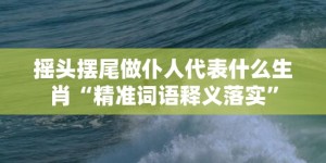 摇头摆尾做仆人代表什么生肖“精准词语释义落实”