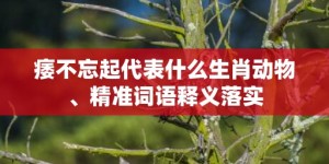 痿不忘起代表什么生肖动物、精准词语释义落实