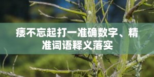 痿不忘起打一准确数字、精准词语释义落实