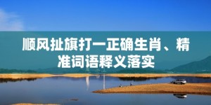 顺风扯旗打一正确生肖、精准词语释义落实