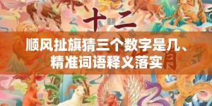 顺风扯旗猜三个数字是几、精准词语释义落实