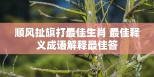 顺风扯旗打最佳生肖 最佳释义成语解释最佳答