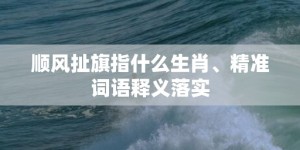 顺风扯旗指什么生肖、精准词语释义落实