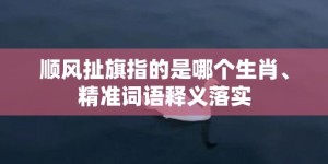 顺风扯旗指的是哪个生肖、精准词语释义落实