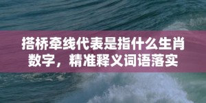 搭桥牵线代表是指什么生肖数字，精准释义词语落实