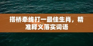 搭桥牵线打一最佳生肖，精准释义落实词语