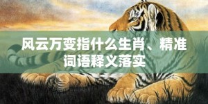 风云万变指什么生肖、精准词语释义落实