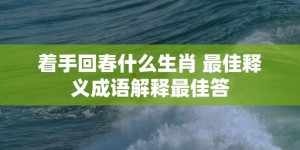 着手回春什么生肖 最佳释义成语解释最佳答