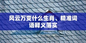 风云万变什么生肖、精准词语释义落实