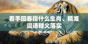 着手回春指什么生肖、精准词语释义落实