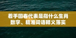 着手回春代表是指什么生肖数字、精准词语释义落实