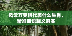 风云万变指代表什么生肖、精准词语释义落实