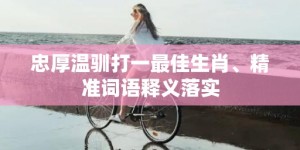 忠厚温驯打一最佳生肖、精准词语释义落实