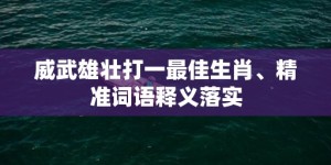 威武雄壮打一最佳生肖、精准词语释义落实