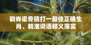 戳脊梁骨猜打一最佳正确生肖、精准词语释义落实