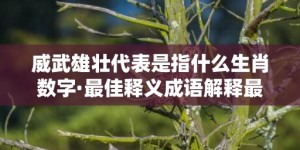 威武雄壮代表是指什么生肖数字·最佳释义成语解释最佳答