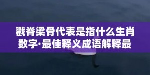 戳脊梁骨代表是指什么生肖数字·最佳释义成语解释最佳答