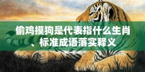 偷鸡摸狗是代表指什么生肖、标准成语落实释义