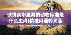 欲钱买水里游的动物标准是什么生肖[精准词语释义落实]