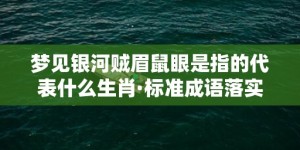 梦见银河贼眉鼠眼是指的代表什么生肖·标准成语落实释义