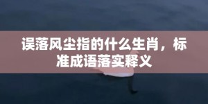 误落风尘指的什么生肖，标准成语落实释义