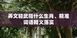 弄文轻武指什么生肖、精准词语释义落实