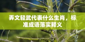 弄文轻武代表什么生肖，标准成语落实释义