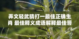 弄文轻武猜打一最佳正确生肖 最佳释义成语解释最佳答