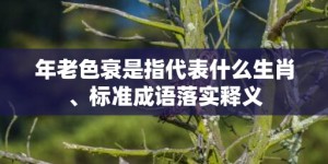 年老色衰是指代表什么生肖、标准成语落实释义