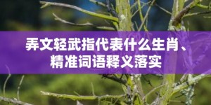 弄文轻武指代表什么生肖、精准词语释义落实