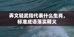 弄文轻武指代表什么生肖，标准成语落实释义