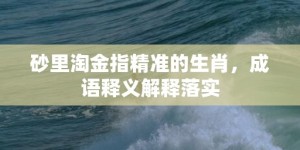 砂里淘金指精准的生肖，成语释义解释落实