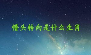 懵头转向是什么生肖