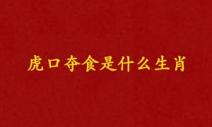 虎口夺食是什么生肖