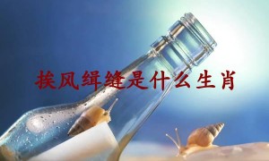 挨风缉缝是什么生肖