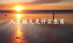 入室操戈是什么生肖